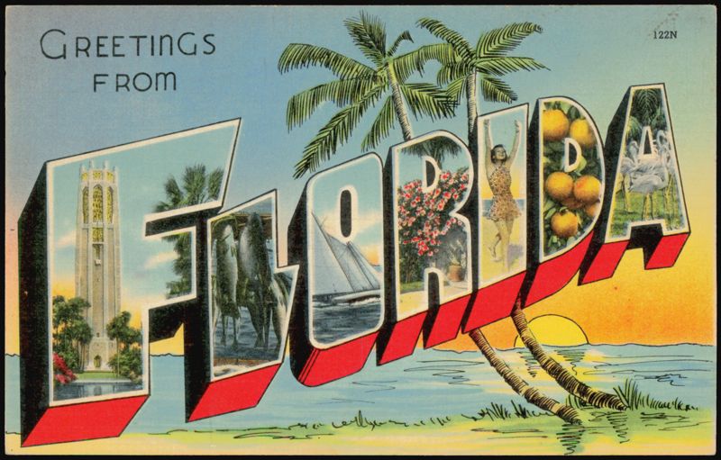 Greetings From Florida Large Letter Scenes