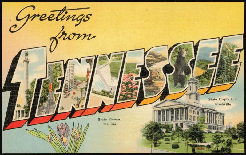 Greetings from Tennessee Large Letter State Capitol Iris