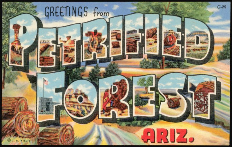 Greetings from Petrified Forest
