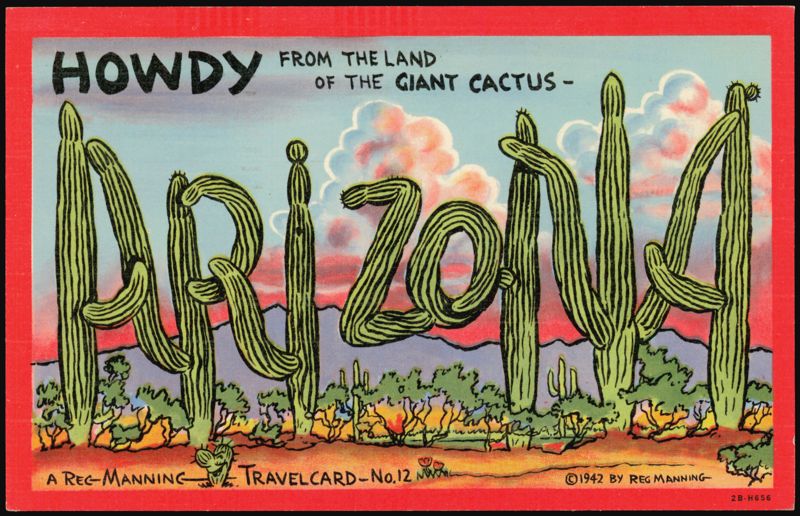 Howdy from the Land of the Giant Cactus - Arizona Large Letter
