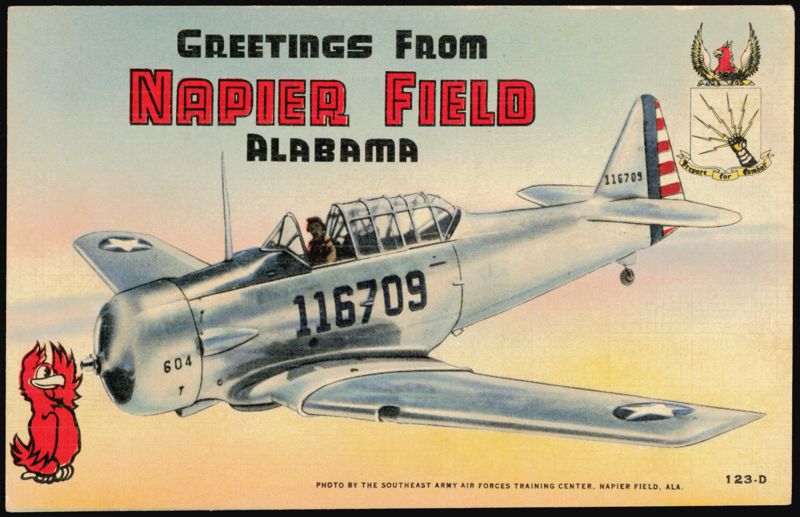 Greetings From Napier Field Alabama, Training Plane