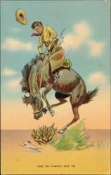 Cowboy on Bucking Horse, 'Ride 'Em Cowboy. Ride 'Em.' Postcard