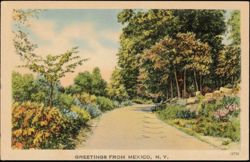 Path Through Woods Postcard