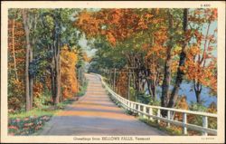 Road with Autumn Trees and River Postcard