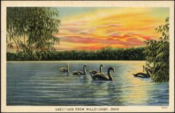 Greetings from Willoughby, Ohio - Swans at Sunset Postcard