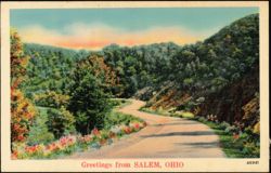 Winding Road, Hilly Forest Landscape Postcard
