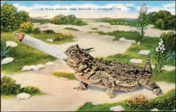 Texas Horned Toad Smoking a Cigarette Postcard