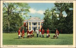 Stock #1190409 Thumbnail