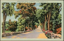 Greetings from Lynbrook, Long Island, Road with Stone Walls Postcard