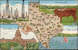 Map of Texas with Oil Field, Longhorn Steer, Capitol, Bluebonnets Postcard