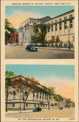 American Museum of Natural History & Metropolitan Museum of Art Postcard