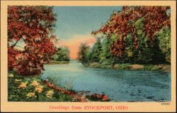 River View with Autumn Trees Postcard
