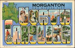 Greetings from North Carolina, Morganton The Mimosa City Postcard