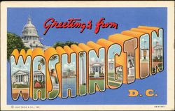 Greetings from Washington D.C. Large Letter Postcard