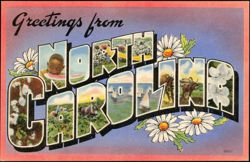 Greetings from North Carolina Large Letter Postcard