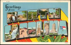 Greetings from North Carolina Large Letter Scenes Postcard