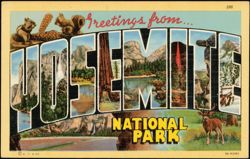 Greetings from Yosemite National Park Large Letter Postcard
