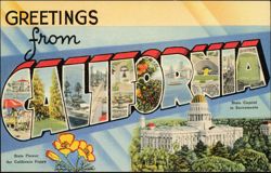 Greetings from California Large Letter Scenes Postcard