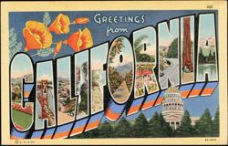 Greetings from California Large Letter Poppies Postcard