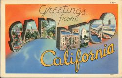 Greetings from San Diego California Large Letter Postcard