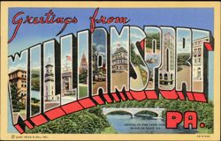 Greetings from Williamsport PA Large Letter Postcard