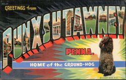Greetings from Punxsutawney, Home of the Ground-Hog Postcard