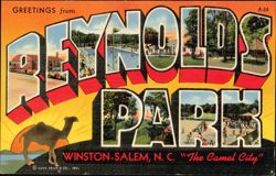 Greetings from Reynolds Park, The Camel City Postcard