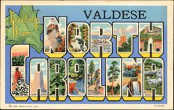 Greetings from Valdese North Carolina Large Letter Postcard