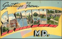 Greetings From Salisbury Large Letter Postcard