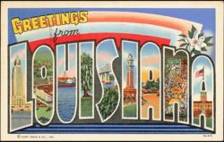 Greetings from Louisiana Large Letter Postcard