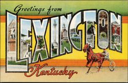 Greetings from Lexington Kentucky Large Letter Horse & Sulky Postcard