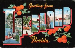 Greetings from Lakeland Large Letter with Oranges Postcard