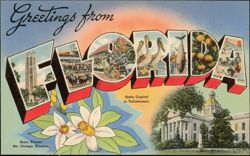 Greetings from Florida Large Letter, Orange Blossom Postcard