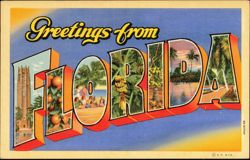 Greetings from Florida Large Letter Postcard