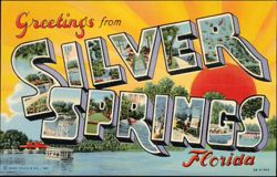 Greetings from Silver Springs Large Letter Scenes Postcard