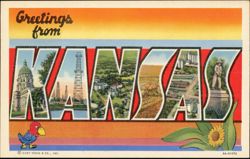 Greetings from Kansas Large Letter Jayhawk Sunflower Postcard