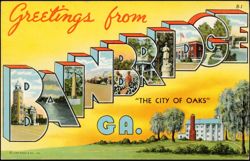 Greetings from Bainbridge, 'The City of Oaks' Large Letter Postcard