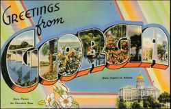 Greetings from Georgia, State Capitol, Cherokee Rose Postcard