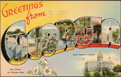 Greetings from Georgia, Large Letter, State Capital, Cherokee Rose Postcard