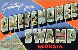 Greetings from Okefenokee Swamp Postcard