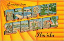 Greetings from Tarpon Springs Large Letter Postcard