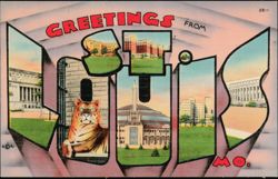 Greetings From MO. St. Louis Scenes Postcard