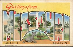 Greetings from Missouri Large Letter with Donkey Postcard