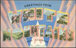 Greetings From White Mountains Large Letter Postcard