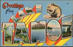 Greetings from Lake Tahoe Large Letter Chipmunk Postcard