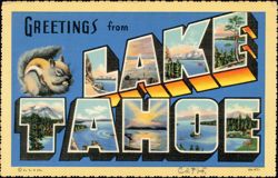 Greetings from Lake Tahoe Large Letter Squirrel Postcard
