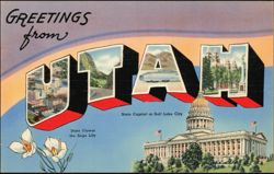 Greetings from Utah, State Capitol, Sego Lily Postcard
