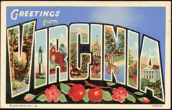 Greetings from Virginia Large Letter Postcard