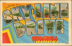 Greetings from Skyline Drive Postcard