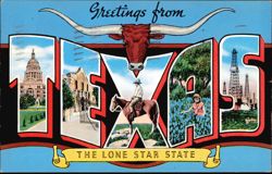 Greetings from Texas The Lone Star State Large Letter Scenes Postcard